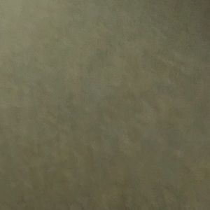 Meet your Posher, Shuntay